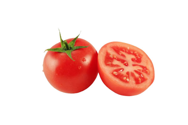 海藻液肥对番茄种子发芽及生长的影响