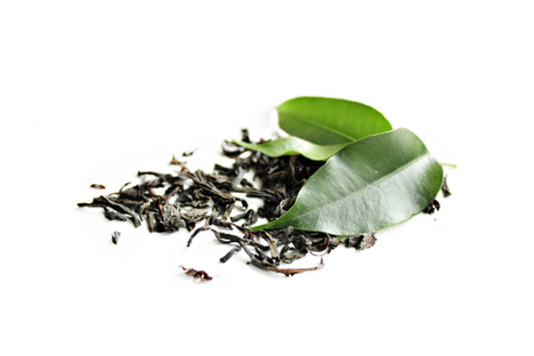 海藻叶面肥对绿茶生长的影响